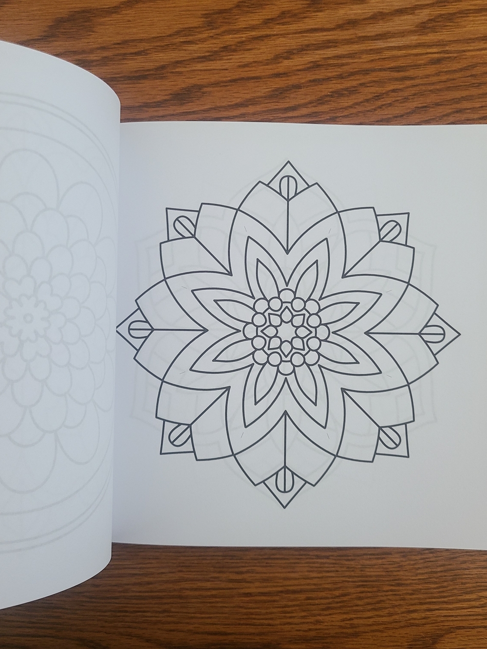 Easy Adult Coloring Book W/Ohuhu Glitter Markers - Picture 8 of 12